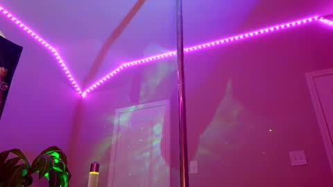 Rose online show from 11.05.25