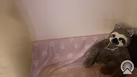 Snapshot of kitiket1 chatting on 02.11.25 kitiket1 online show from 02.11.25