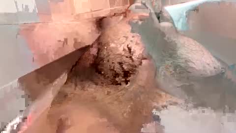 kitkatmac online show from 01.03.25