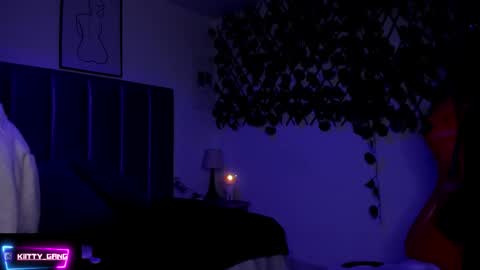 Snapshot of kitty_gang chatting on 11.15.25 Camila online show from 11.15.25