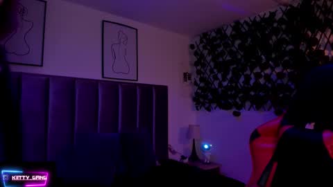 Snapshot of kitty_gang chatting on 11.18.25 Camila online show from 11.18.25