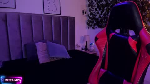 Snapshot of kitty_gang chatting on 11.21.25 Camila online show from 11.21.25