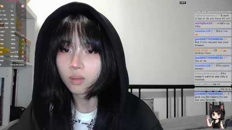 Kitty online show from 11.07.25