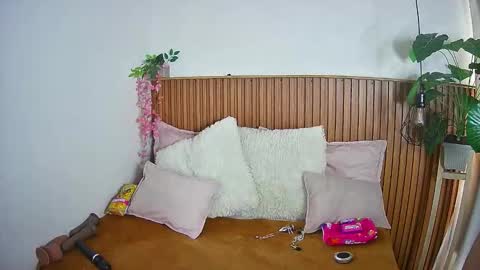 K I T T Y   online show from 02.04.26