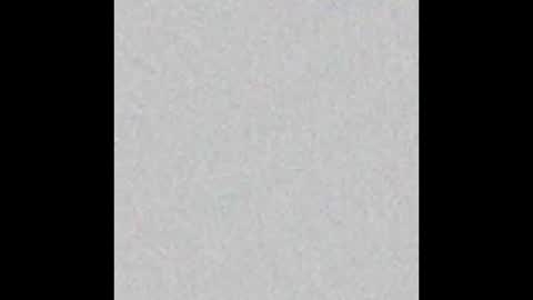 kitty online show from 02.18.26