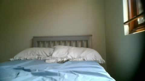 kittygulf online show from 02.13.26