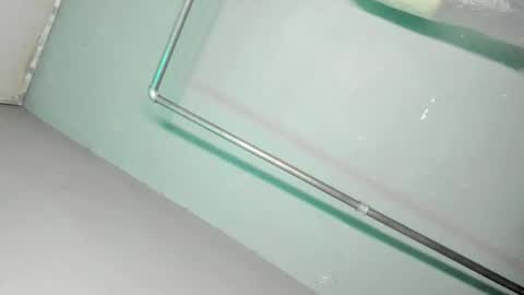 Grace online show from 11.29.25