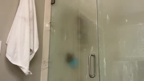 kittypurr79 online show from 01.02.25