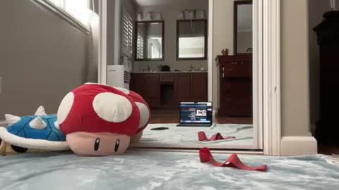 kittypurr79 online show from 01.11.25