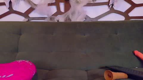 kloe_bella online show from 10.27.25