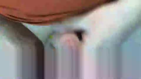 Snapshot of klok8230 chatting on 02.15.26 klok8230 online show from 02.15.26