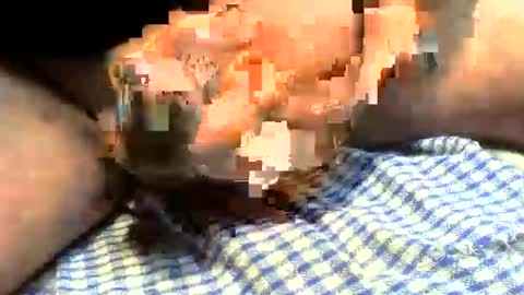 Snapshot of klok8230 chatting on 03.27.26 klok8230 online show from 03.27.26