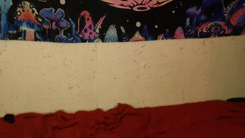 konekokawai online show from 02.12.25