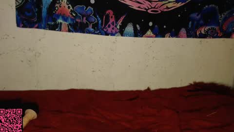 konekokawai online show from 02.13.25