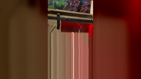 korysmith568 online show from 02.20.26