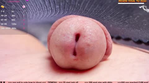 Petra online show from 12.05.24