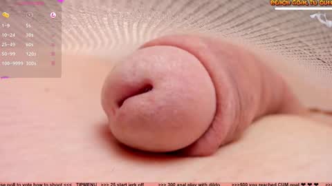 Petra online show from 02.10.25