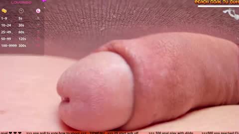 Petra online show from 02.11.25