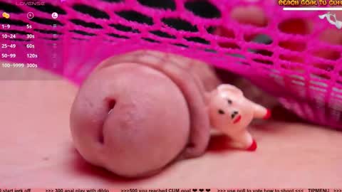 Petra online show from 02.24.25