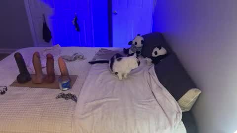 Kristin Snow online show from 09.17.25