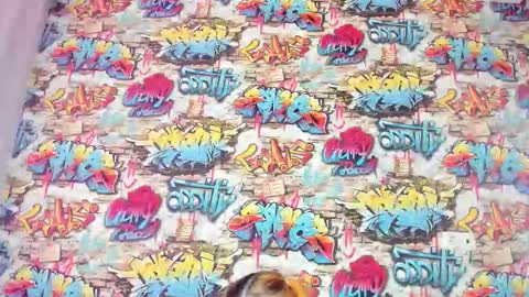 Krys online show from 11.27.25