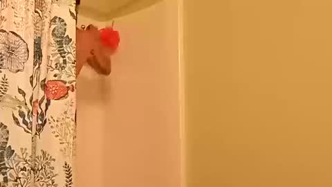 kyleisabadname online show from 10.20.25