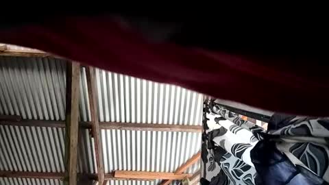 kylie online show from 04.10.26