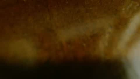 la teaser online show from 11.20.25