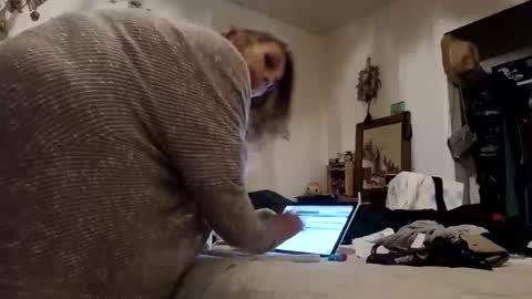 lacybell online show from 11.16.25