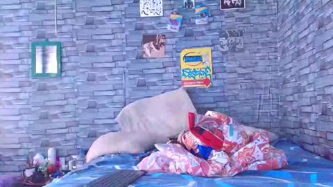 Lady godss online show from 12.01.25