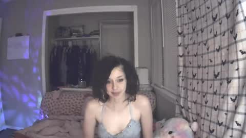 hugbug online show from 12.18.24