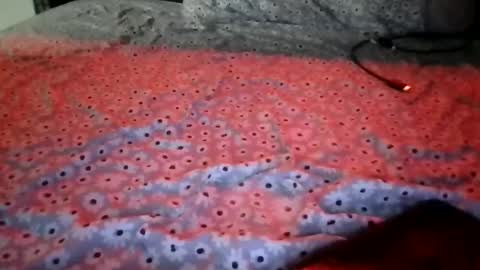 Stephanie online show from 12.15.25