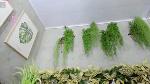 lana_lann online show from 12.20.24