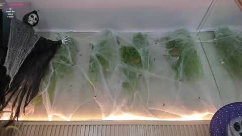 lana_lann online show from 10.30.25