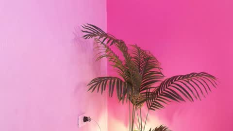 LANA online show from 01.18.26