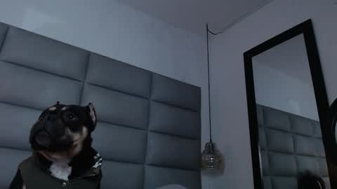 lara online show from 12.31.24