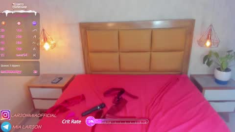 Snapshot of larsonmia chatting on 12.30.24  MIA  online show from 12.30.24
