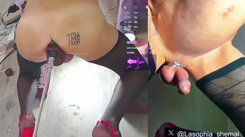 Sophia online show from 03.11.25