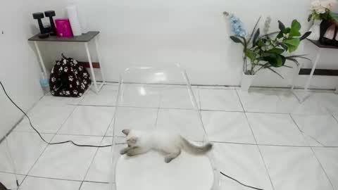 Kendra online show from 02.19.26