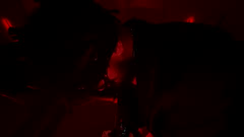 Snapshot of latex__buddy chatting on 03.03.26 latex__buddy online show from 03.03.26