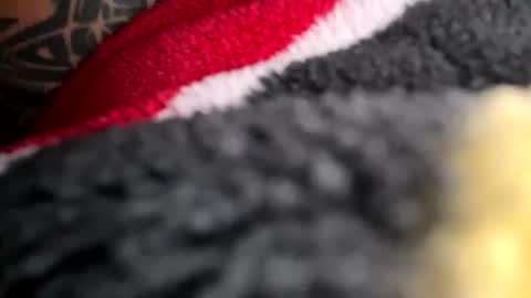 Mexakin online show from 11.16.25