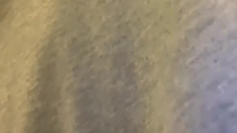 Snapshot of latn_73 chatting on 03.09.26 Mexakin online show from 03.09.26