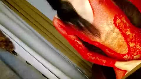 latrina_ online show from 03.05.26