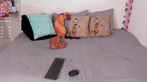 Snapshot of laura1__ chatting on 12.15.25 laura1__ online show from 12.15.25