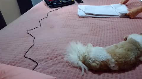 kelly online show from 02.01.25