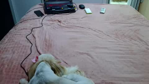 kelly online show from 02.04.25