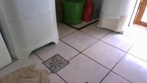 kelly online show from 03.07.25