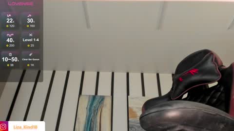 Snapshot of lazyginger chatting on 12.24.24 lazyginger online show from 12.24.24