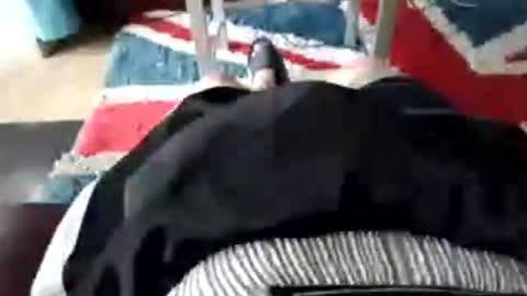 leatherpants68 online show from 07.17.26