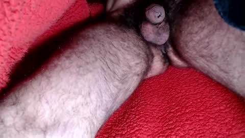 leccameloadesso2 online show from 02.15.25